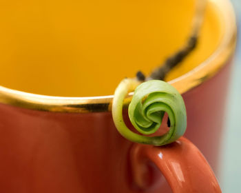 Close-up of leaf on cup