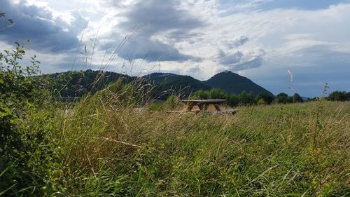 Scenic view of grassy field against cloudy sky