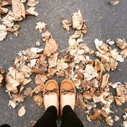 Low section of woman standing on fallen leaves on street