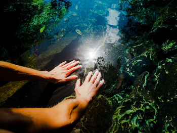 Cropped hands of woman touching water in lake