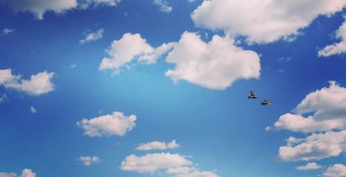 Low angle view of airplane flying in sky