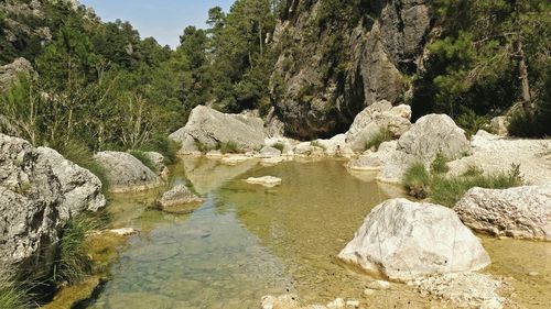 Scenic view of rocks in water