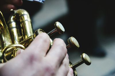Cropped image of musician playing french horn