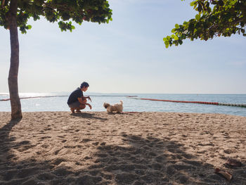 Rear view of woman sitting on beach against sky