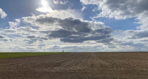 Scenic view of agricultural field against sky