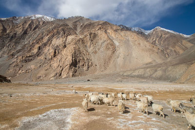 Scenic view of landscape and mountains against sky