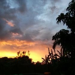 Silhouette of tree against cloudy sky