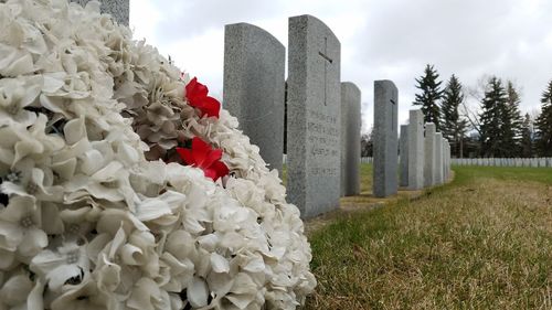 Close-up of cemetery against sky