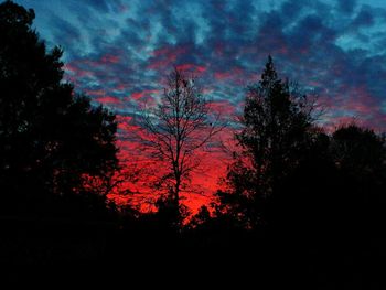 Silhouette trees against sky at night