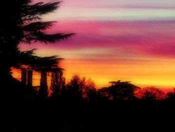 Silhouette of trees against dramatic sky