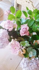 Close-up of pink flowers