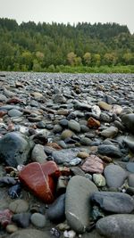 Close-up of pebbles on beach