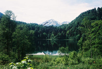 Scenic view of lake and trees against sky