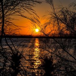 Sun shining through clouds