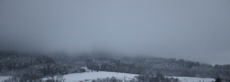 Trees on snow covered land against sky