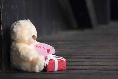 Teddy bear with gift in covered bridge