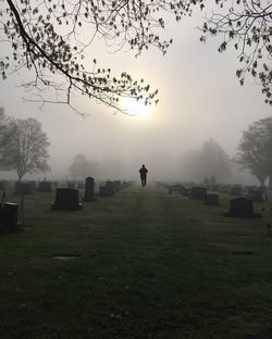 Lonely person walking in a cemetery in a foggy morning