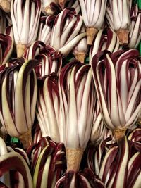 Full frame shot of vegetables for sale