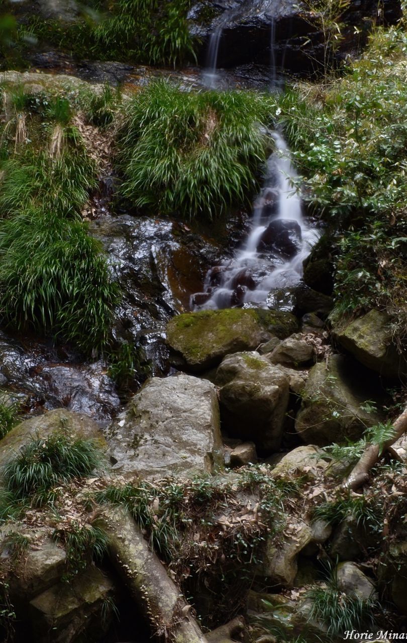 water, motion, rock, plant, nature, flowing water, forest, solid, rock - object, long exposure, no people, beauty in nature, downloading, tree, blurred motion, moss, flowing, day, scenics - nature, stream - flowing water, outdoors, power in nature