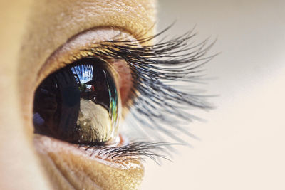 Close-up of human eye