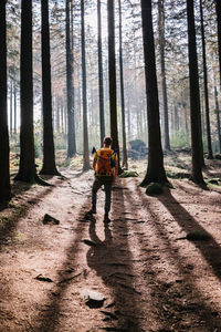 People on street amidst trees in forest