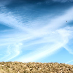 Airplane flying over field against blue sky