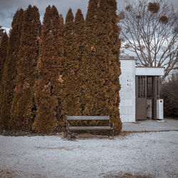 Trees and plants outside house during winter