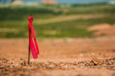 Close-up of red toy hanging on field