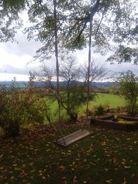 Trees growing in field against sky