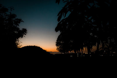 Silhouette of trees at sunset