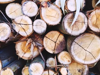 Full frame shot of firewood