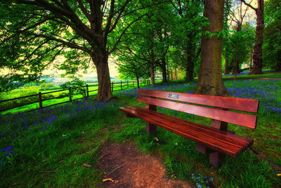 Empty bench in park