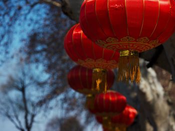 Low angle view of lanterns hanging on tree