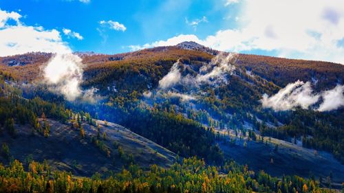 mountain