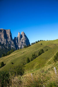 Scenic view of landscape against clear blue sky