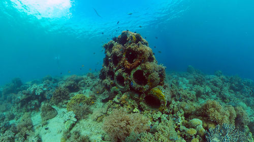 undersea