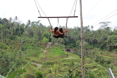 Man hanging amidst trees in forest against sky