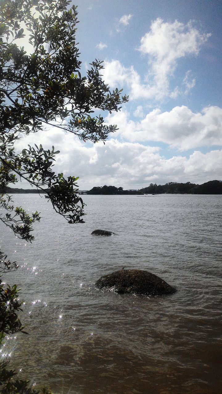 water, sky, cloud - sky, sea, nature, beauty in nature, no people, scenics, tree, tranquility, outdoors, horizon over water, day