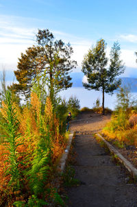 Road amidst trees against sky during autumn