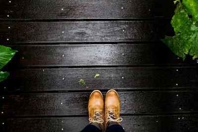 Low section of person standing on boardwalk