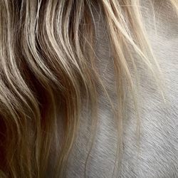 Full frame shot of white background