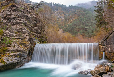 Scenic view of waterfall in forest