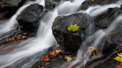 Scenic view of waterfall