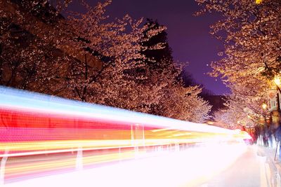 Light trails on road at night