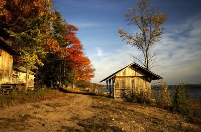 House with trees in background