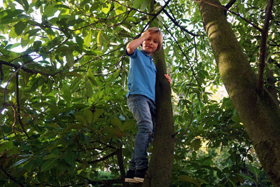 Low angle view of boy standing against trees