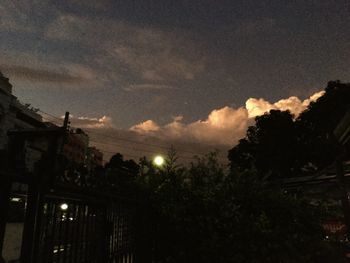 Trees against sky at night