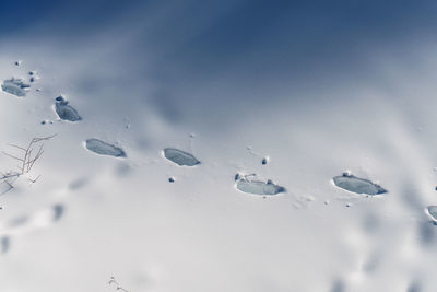 Close-up of snow against sky