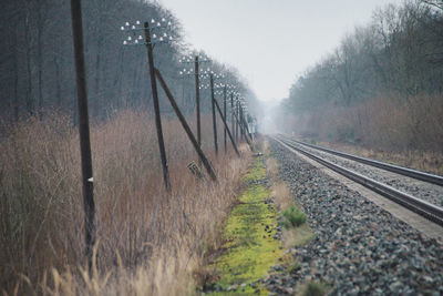 View of railroad track amidst trees against sky