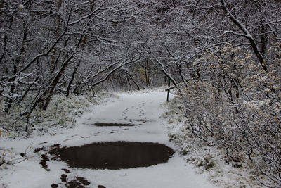 winter